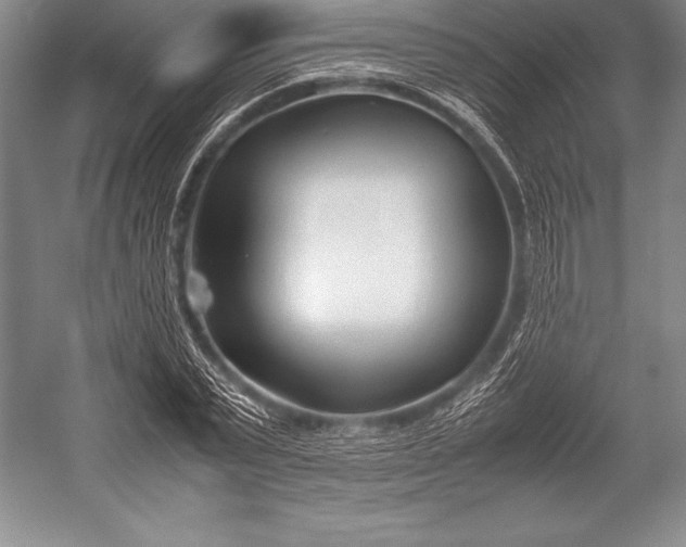 X0000052990783200507221219