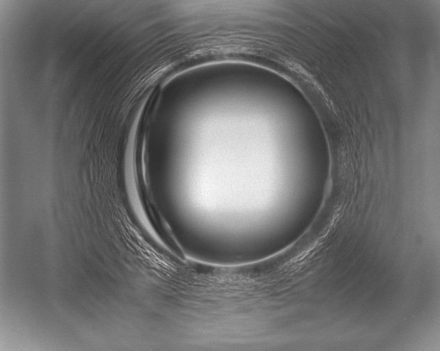 X0000052990785200507221219