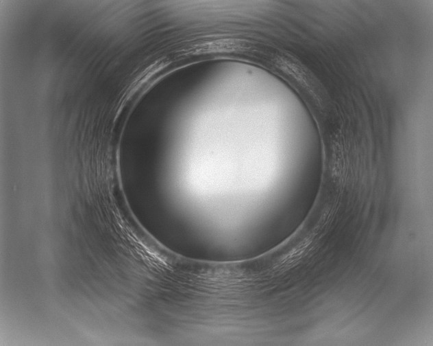 X0000052990786200507221219