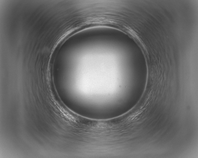 X0000052990787200507221219