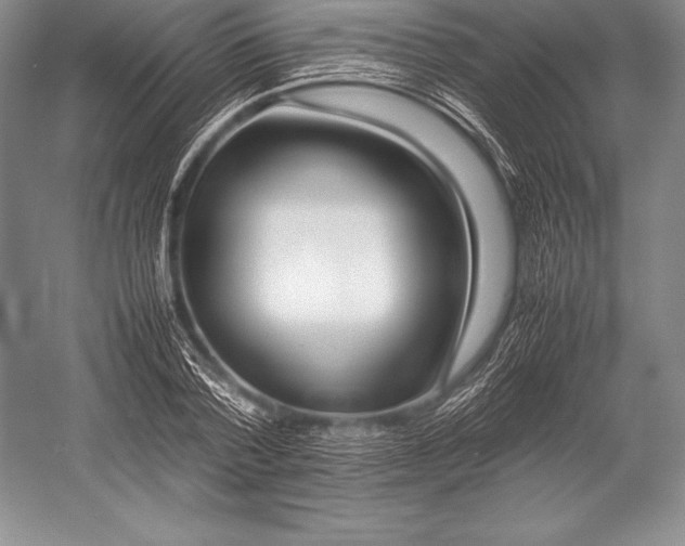 X0000052990788200507221219