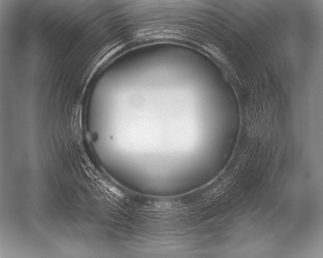 X0000052990790200507221219