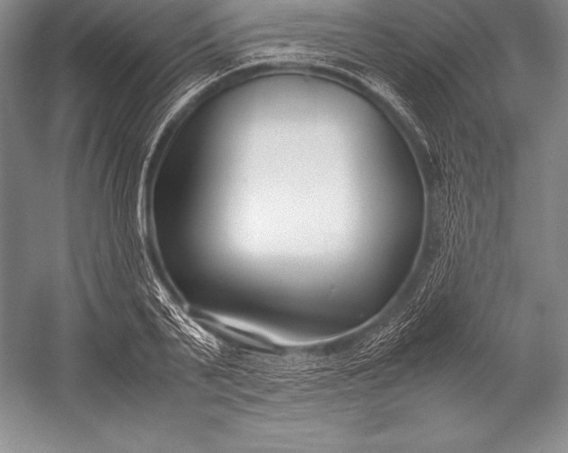 X0000052990791200507221219