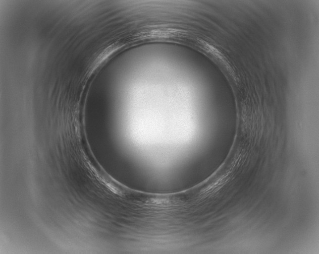 X0000052990794200507221219