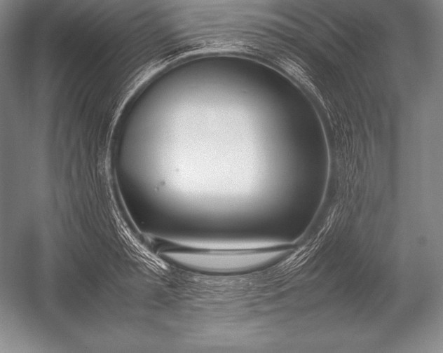 X0000052990797200507221219