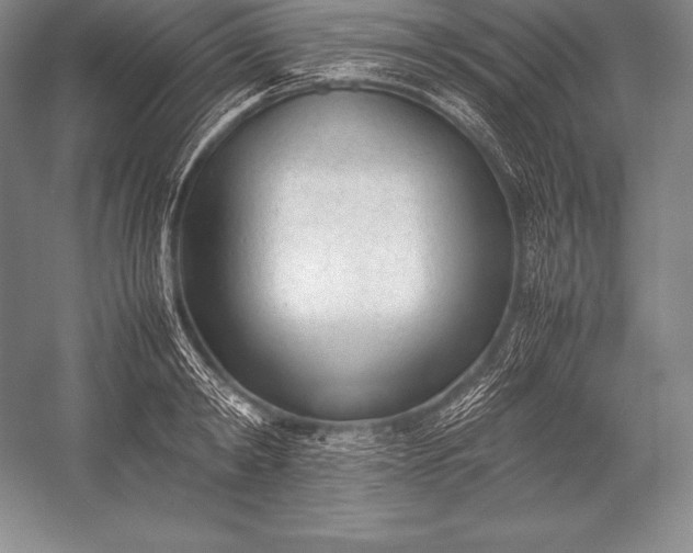 X0000052990798200507221219