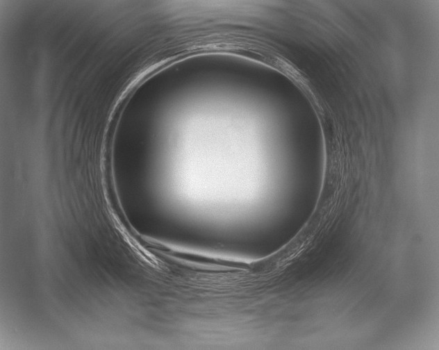 X0000052990803200507221219