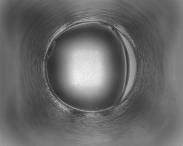 X0000052990805200507221219