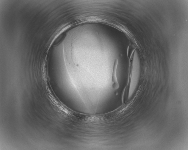 X0000052990806200507221219