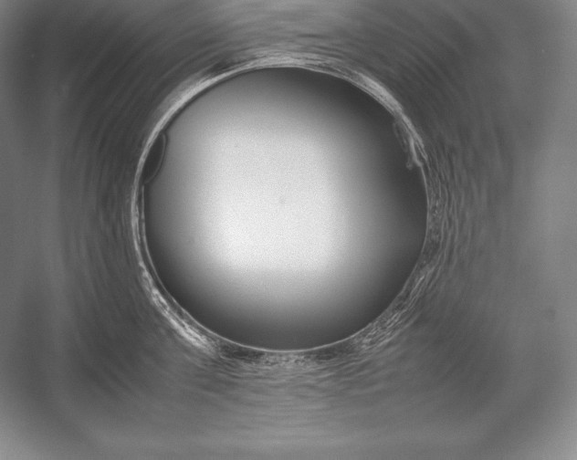 X0000052990811200507221219