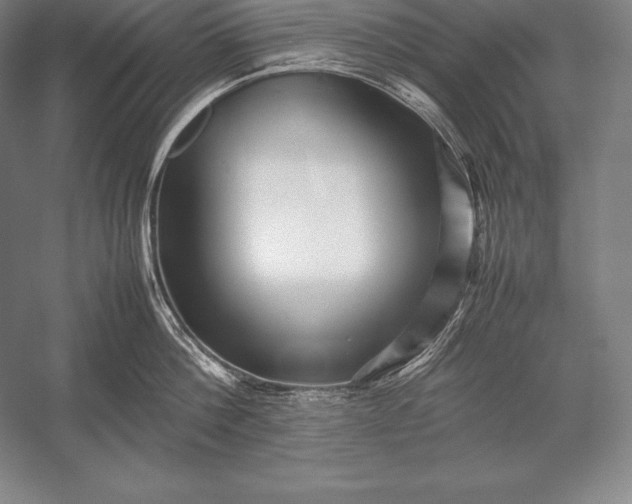 X0000052990812200507221219