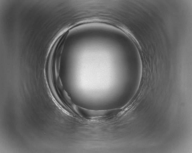 X0000052990813200507221219