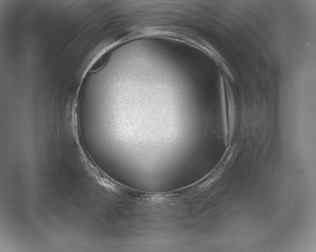 X0000052990814200507221219