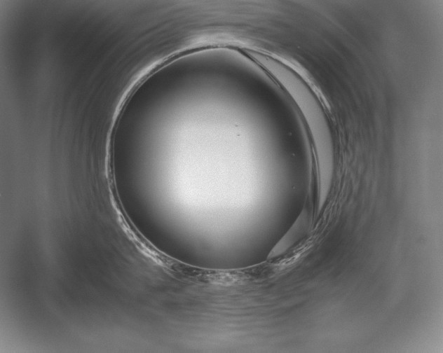 X0000052990815200507221219