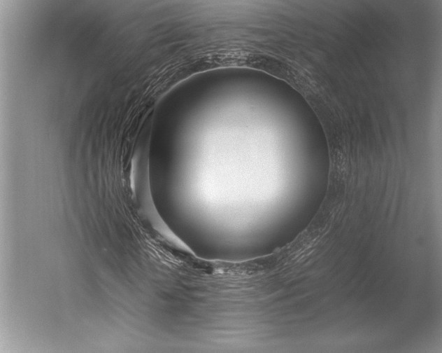 X0000052990818200507221218