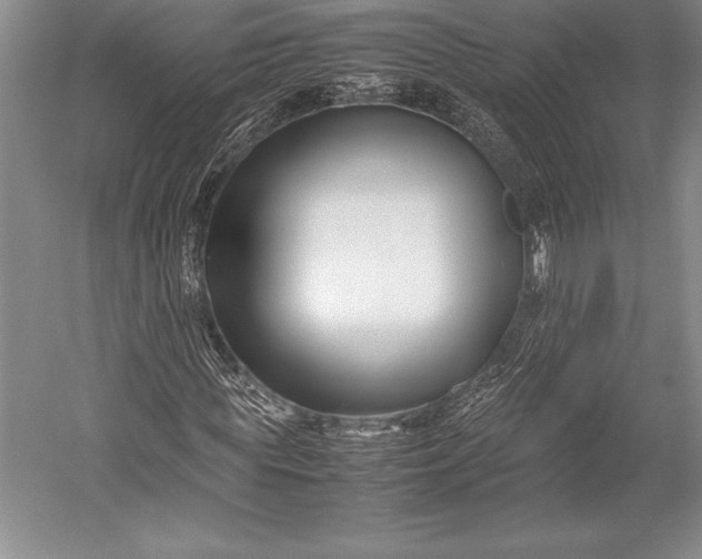 X0000052990819200507221218