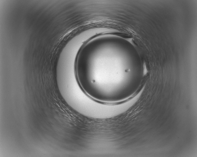 X0000052990822200507221218