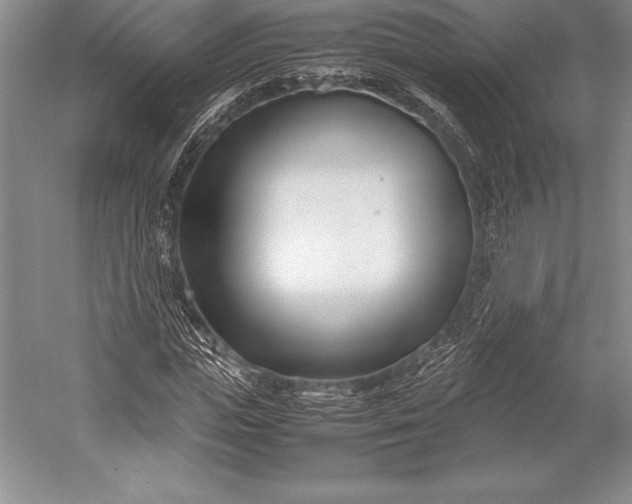 X0000052990823200507221218