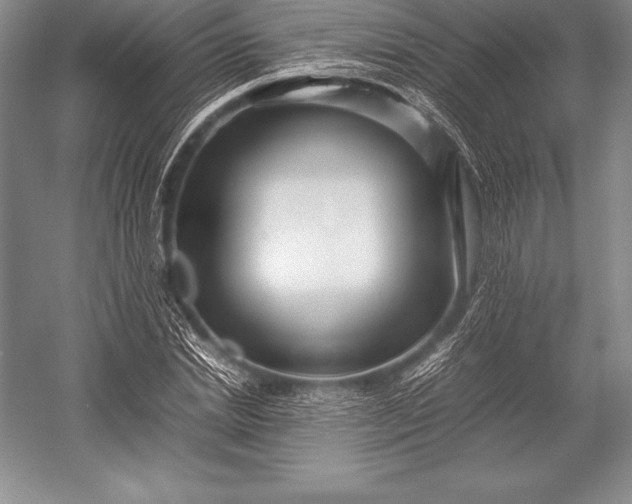X0000052990830200507221218