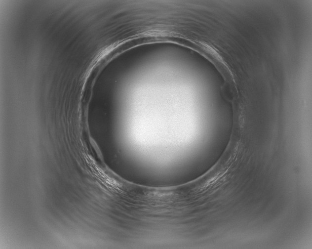 X0000052990831200507221218
