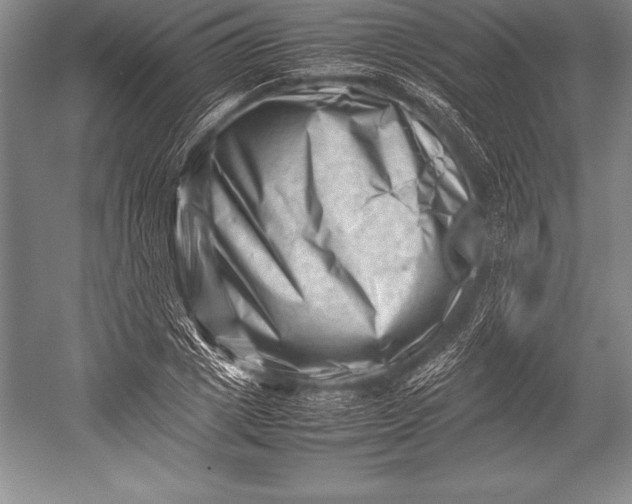 X0000052990833200507221218
