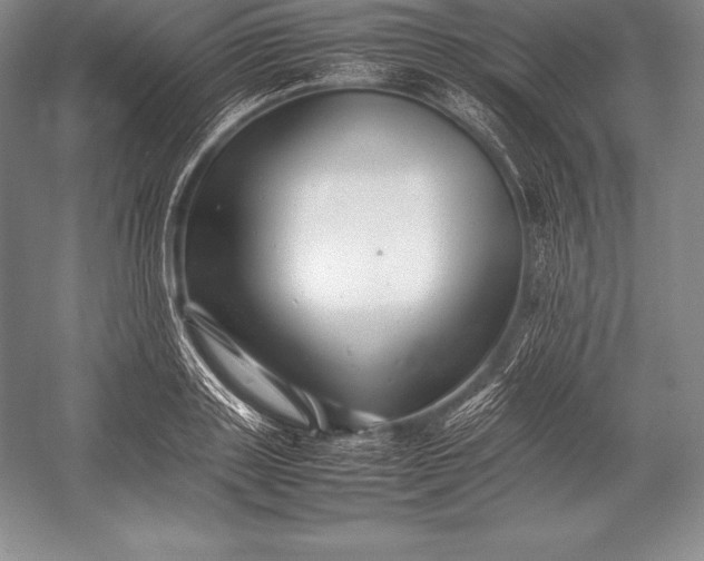 X0000052990843200507221218