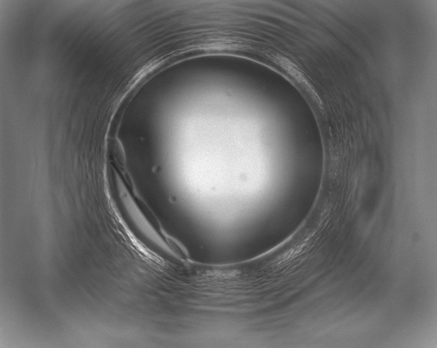 X0000052990845200507221219