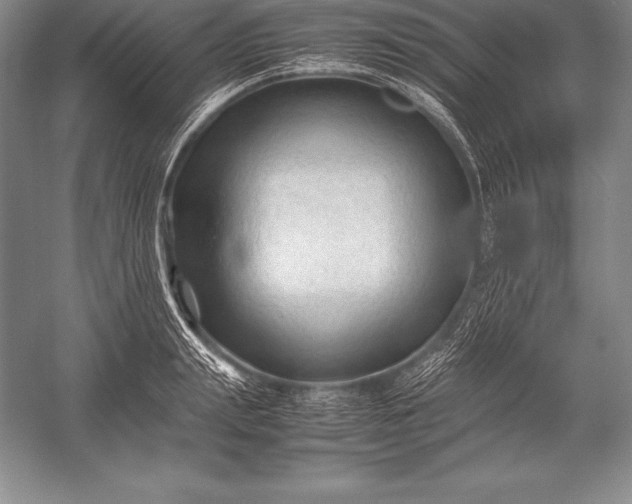 X0000052990847200507221219