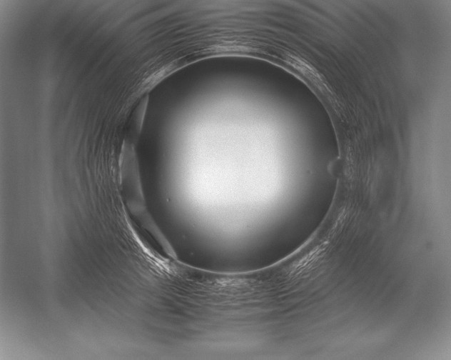 X0000052990849200507221219