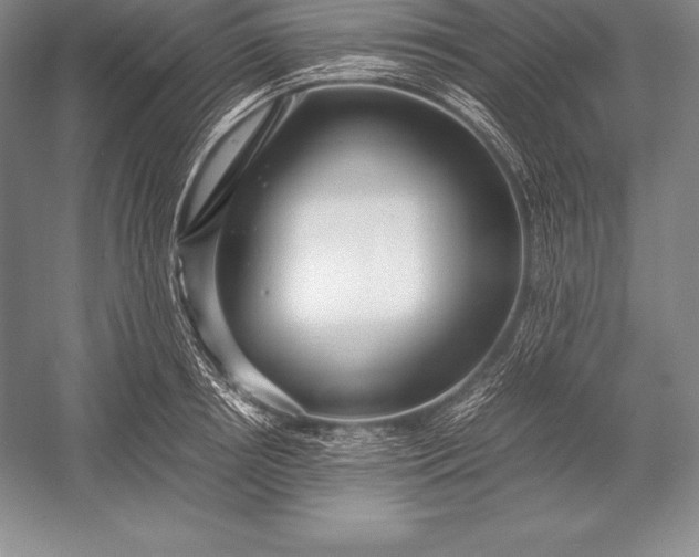 X0000052990850200507221219