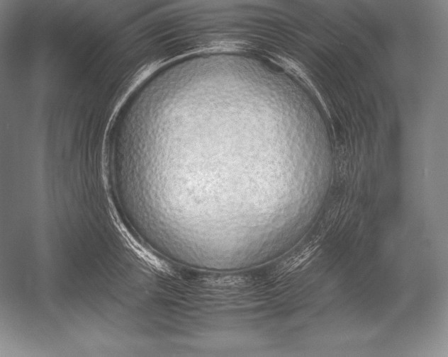 X0000052990851200507221219