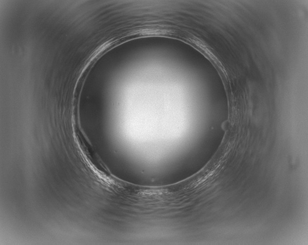 X0000052990853200507221219