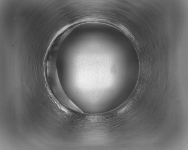 X0000052990854200507221219