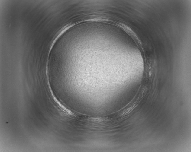 X0000052990855200507221219