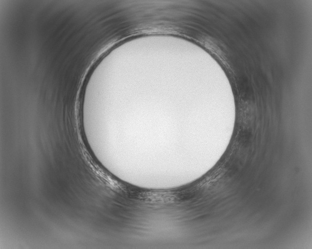 X0000052990856200507221219