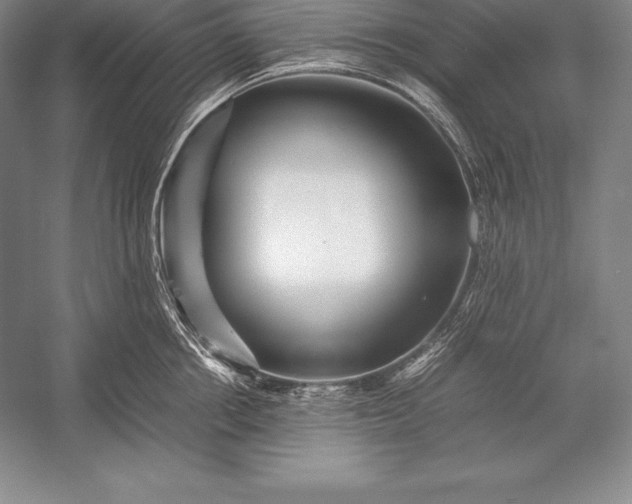 X0000052990858200507221219