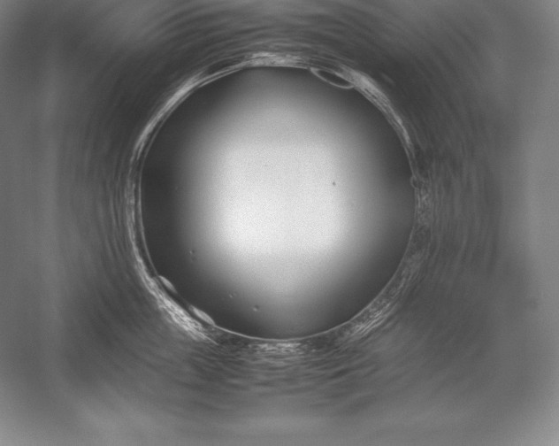 X0000052990859200507221219