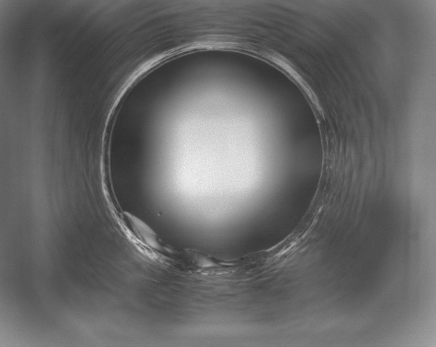 X0000052990861200507221219