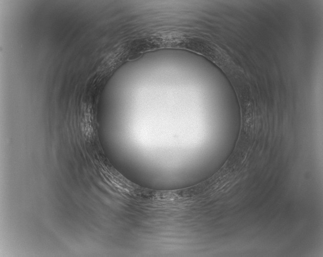 X0000052990866200507221218