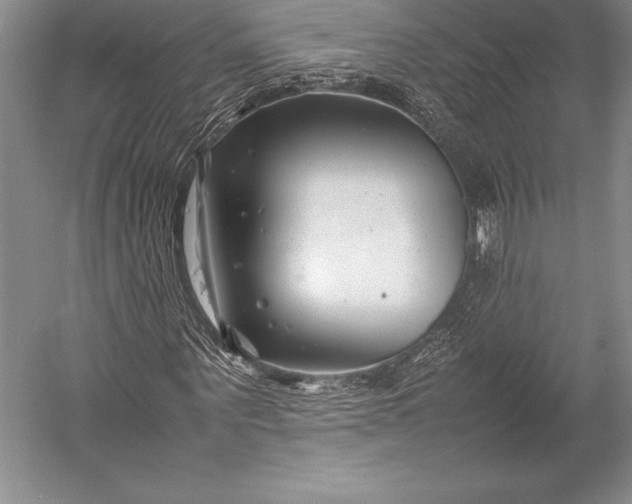X0000052990867200507221218