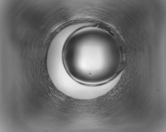 X0000052990871200507221218