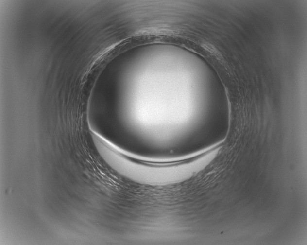X0000052990872200507221218