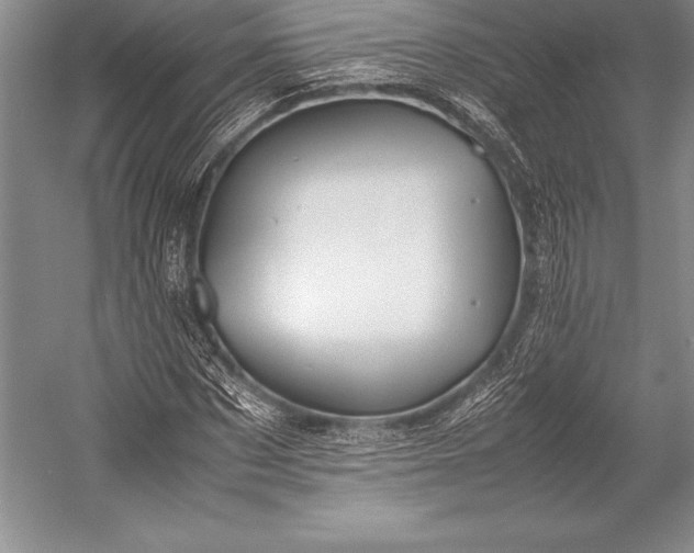 X0000052990873200507221218