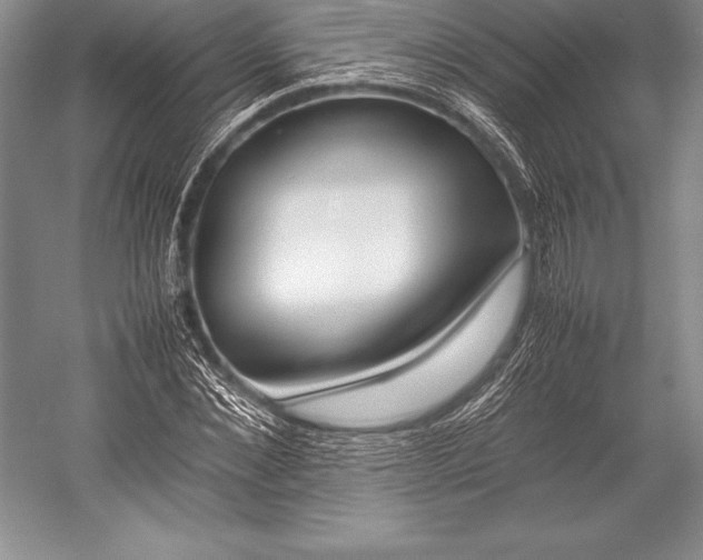 X0000052990876200507221218