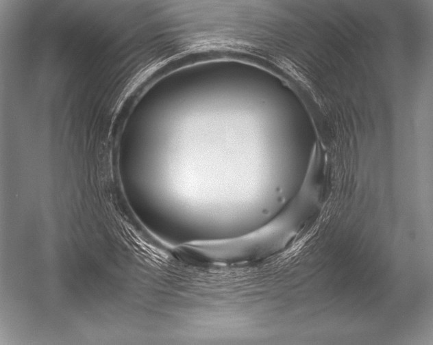 X0000052990877200507221218