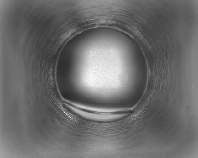 X0000052990881200507221218
