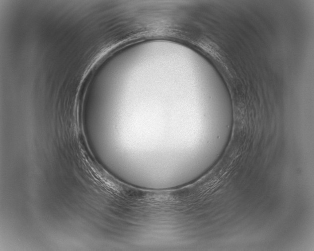 X0000052990886200507221218