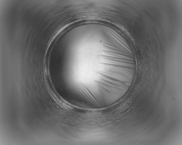 X0000052990887200507221218