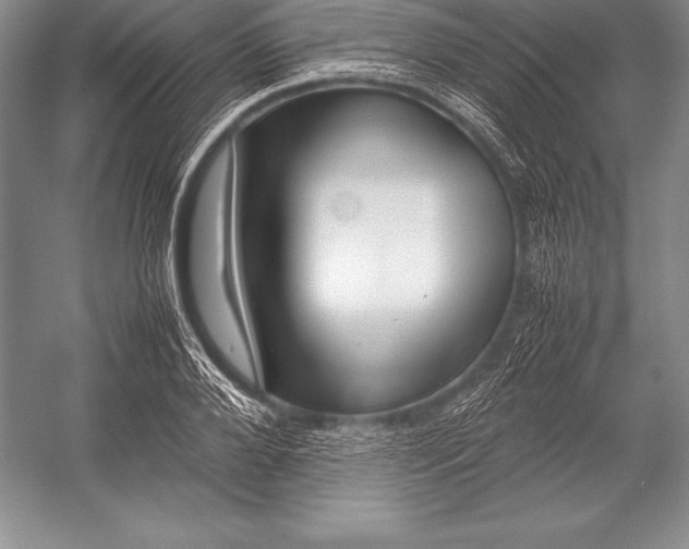 X0000052990888200507221218