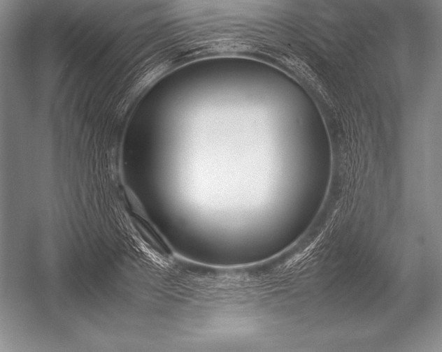 X0000052990889200507221218